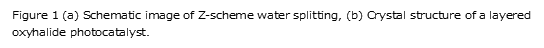 Suzuki Eng. img2.png
