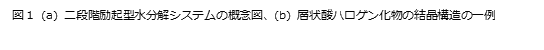 Suzuki img2.png