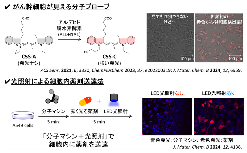研究紹介_jp.png